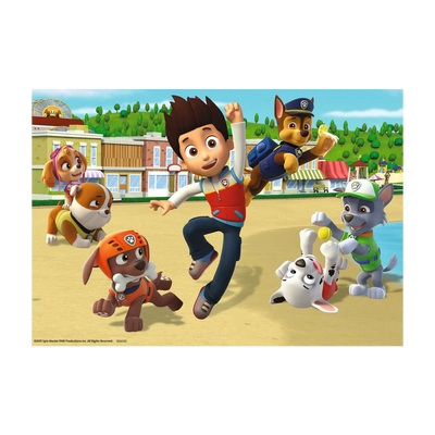 Paw Patrol Heroic Dogs - 2x24 brikker