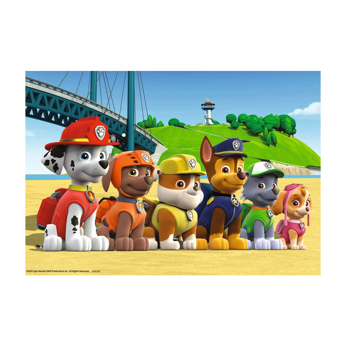 Paw Patrol Heroic Dogs - 2x24 brikker