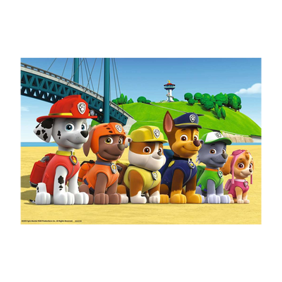 Paw Patrol Heroic Dogs - 2x24 brikker