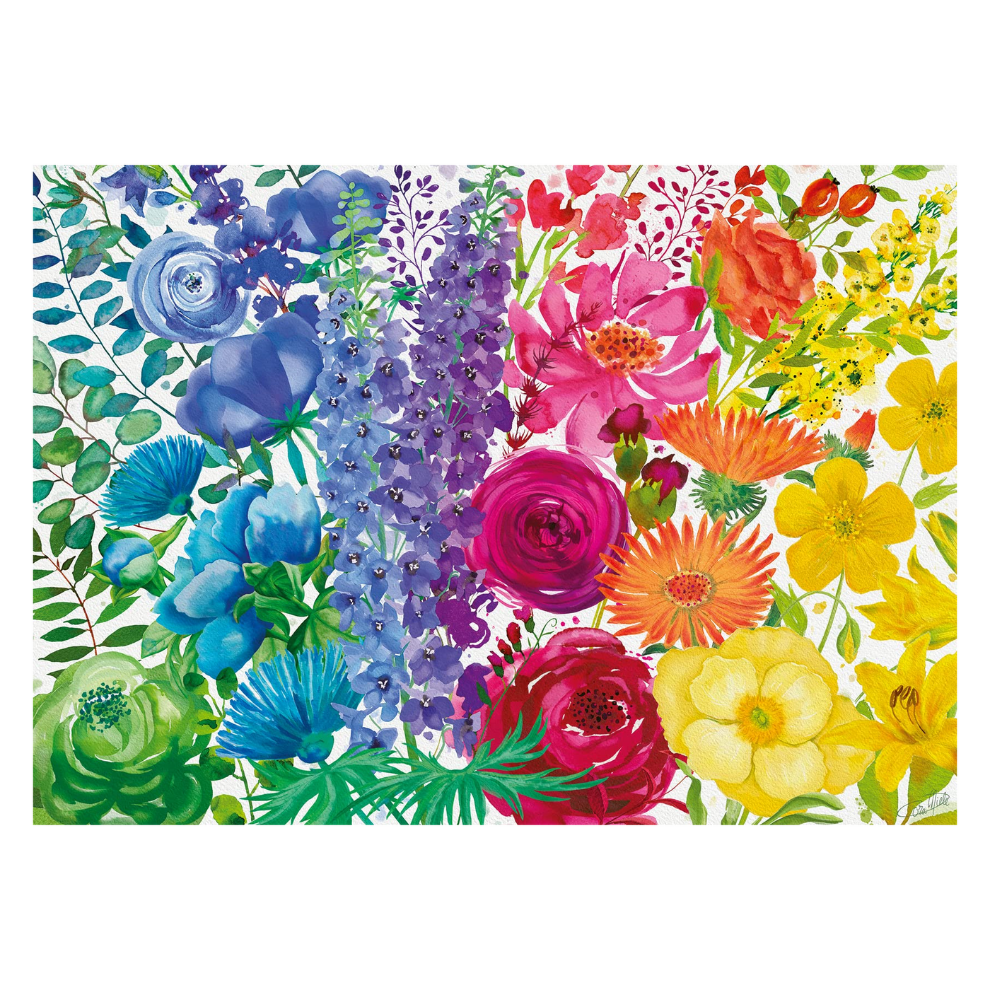 Floral Rainbow  - 300 xl brikker