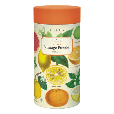 Citrus - 1000 brikker