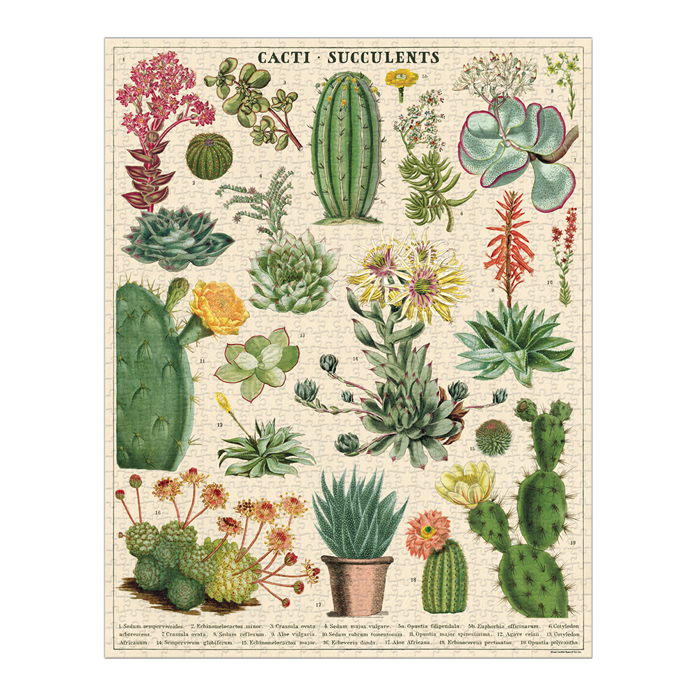 Cacti and Succulents - 1000 brikker