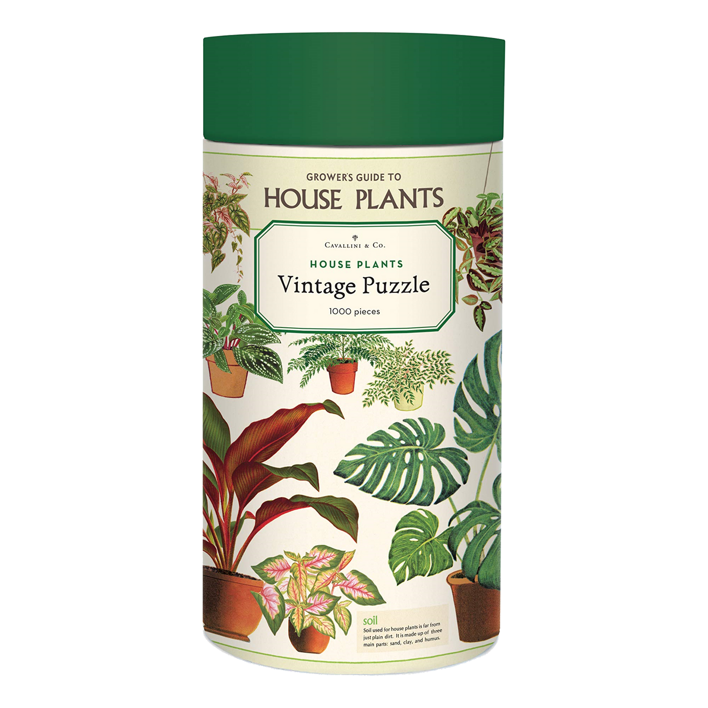 House Plants - 1000 brikker
