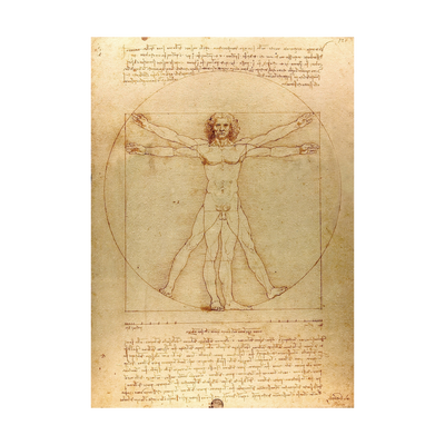 Da Vinci: The Vitruvian Man - 1000 brikker