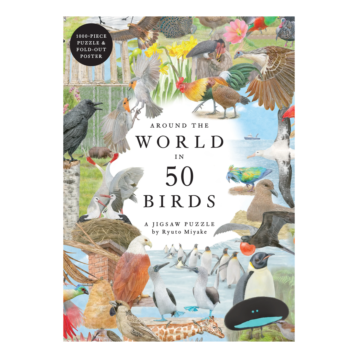 Around the World in 50 Birds - 1000 brikker