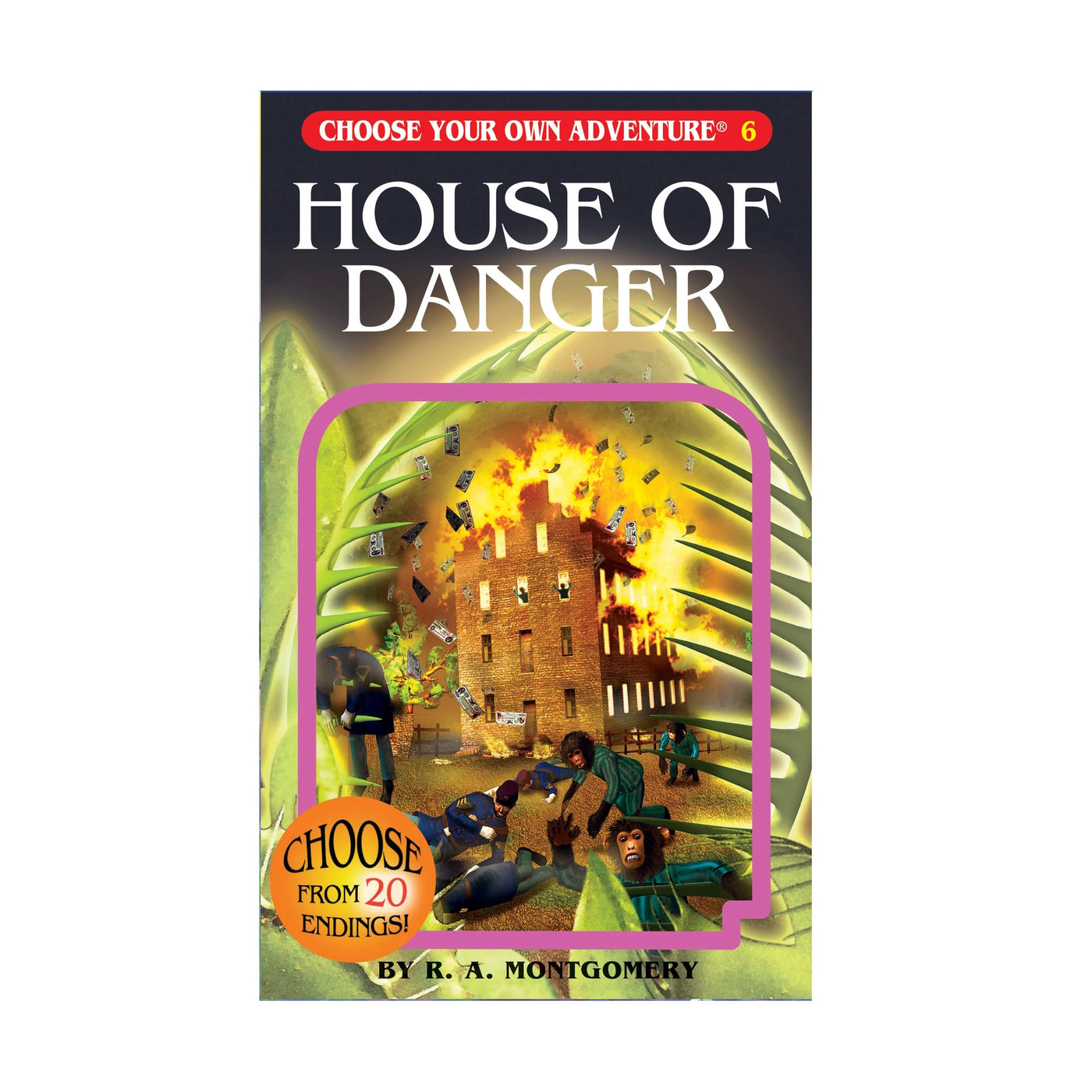 Choose Your Own Adventure 6 House Of Danger