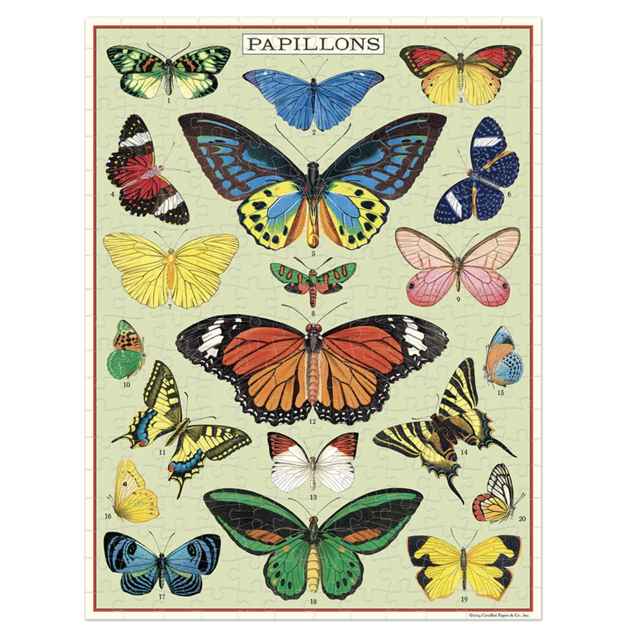 Puslespil Butterflies Cavallini 240 brikker
