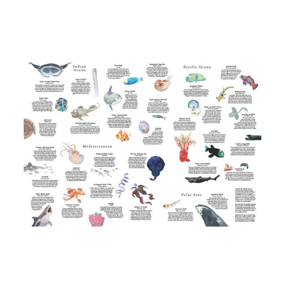 Puslespil Around The World In 50 Fish - 1000 brikker