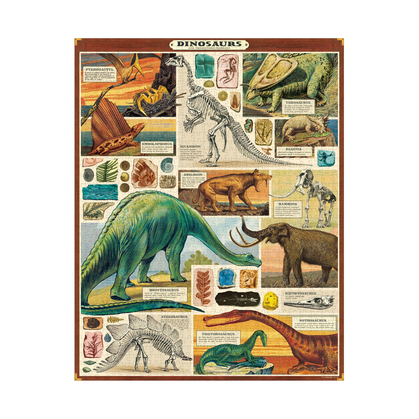 Puslespil Dinosaurs Cavallini - 1000 brikker