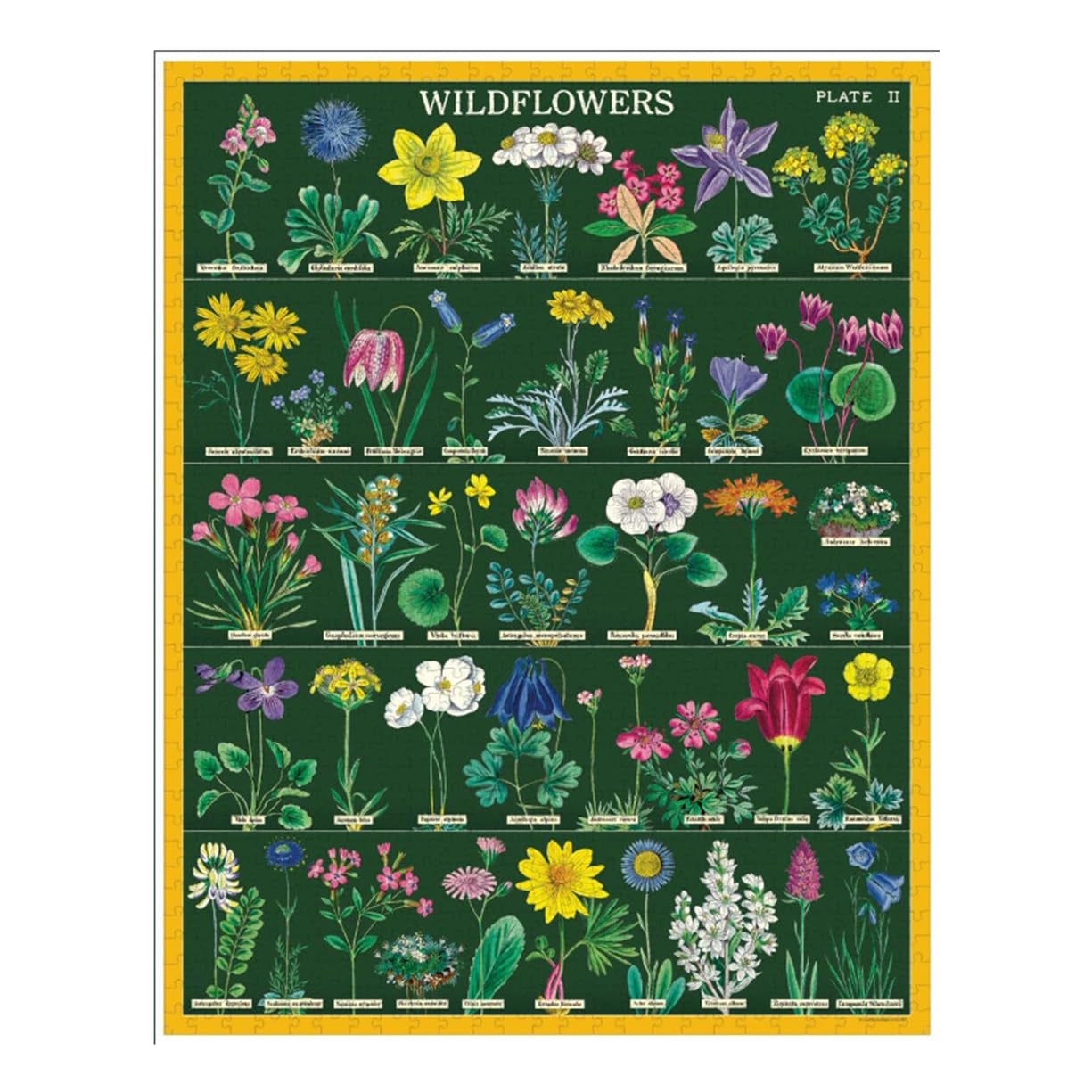 Puslespil Wildflowers 2 Cavallini - 1000 brikker