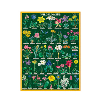 Puslespil Wildflowers Cavallini 240 brikker