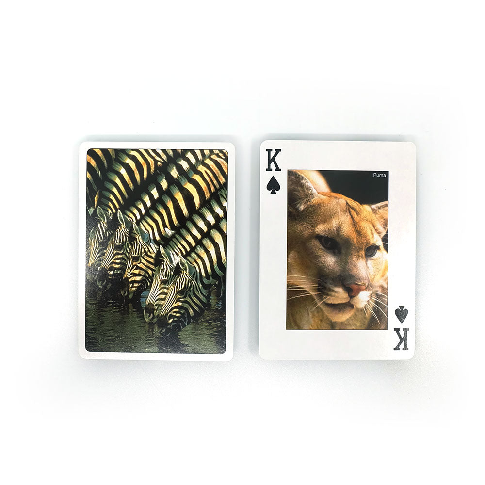 Robe forudsigelse respektfuld Wild Animals spillekort – Games