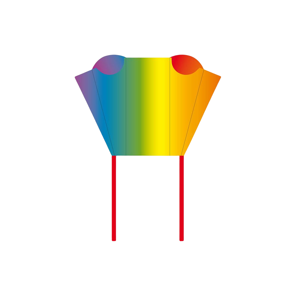 Rainbow pocket drage