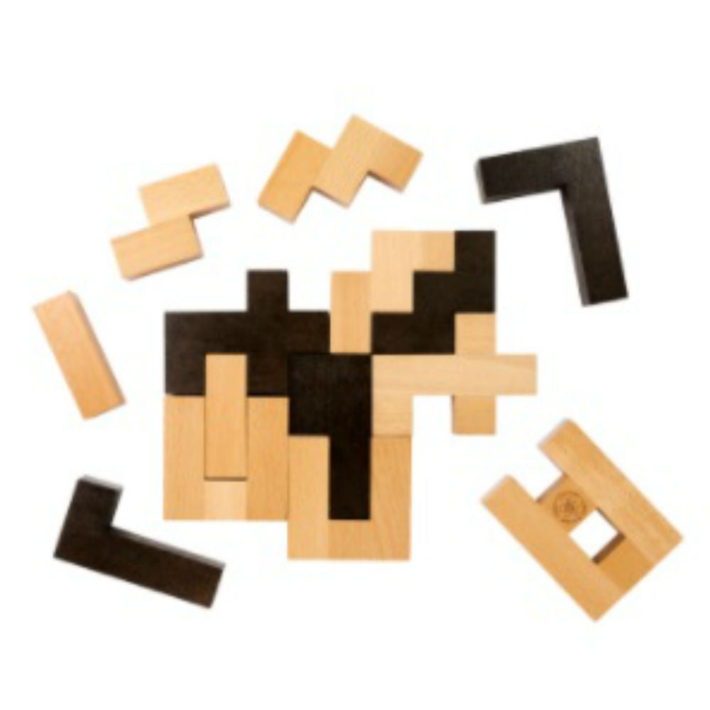 Einstein’s Letter Block Puzzle