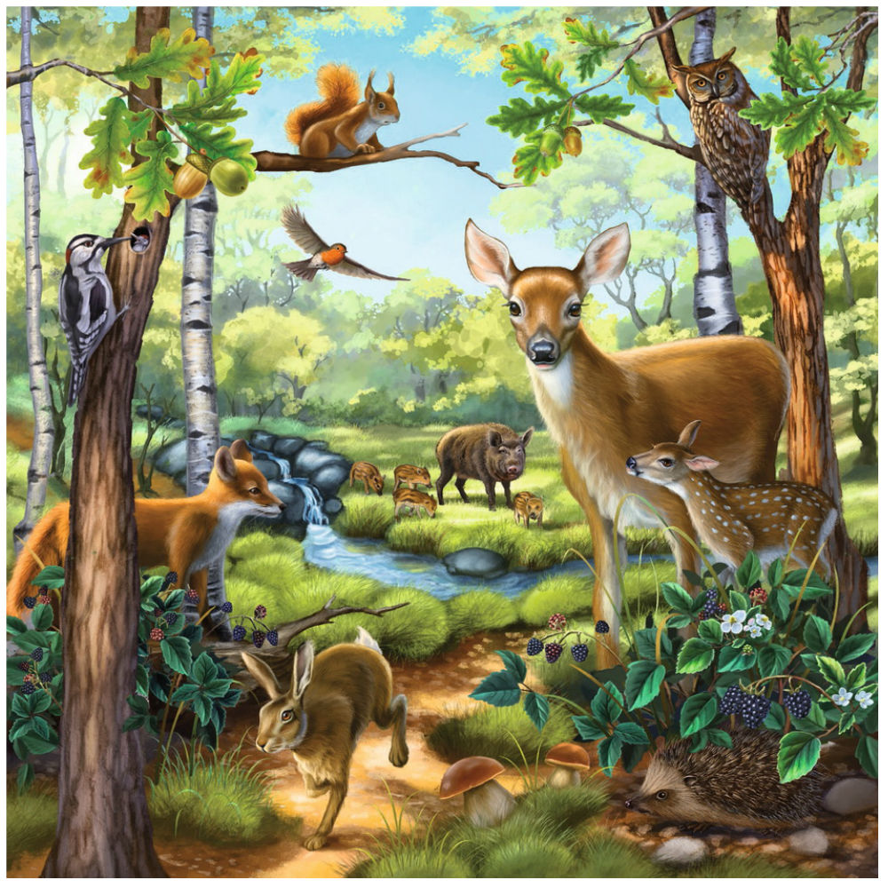 Forest / Zoo / Animals - 3 x 49 brikker