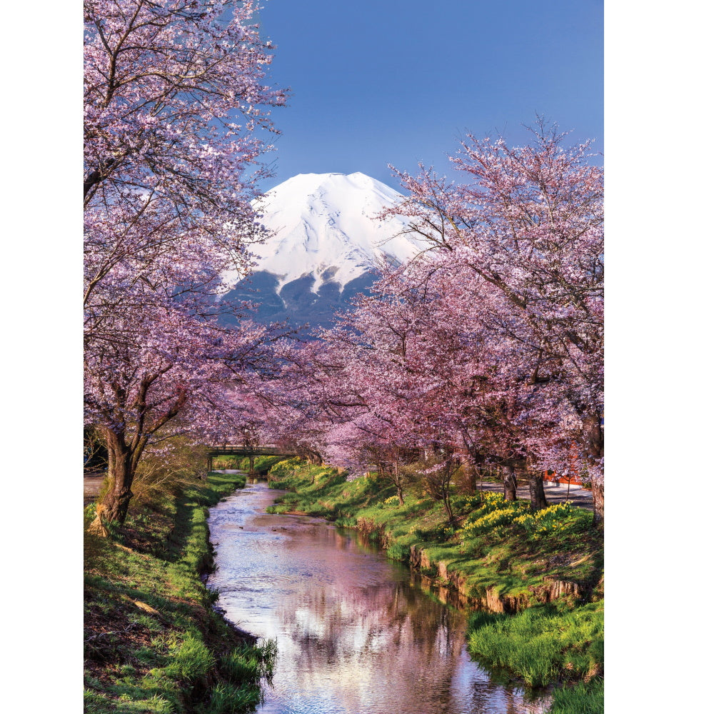 Fuji Mountain - 1000 brikker