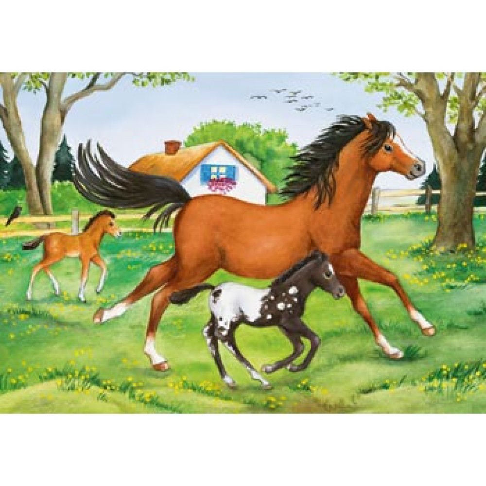 World of Horses - 2 x 24 XXL brikker