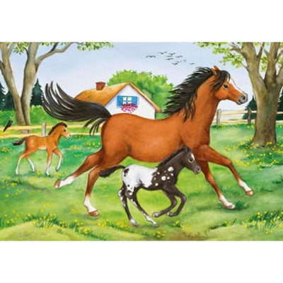 World of Horses - 2 x 24 XXL brikker