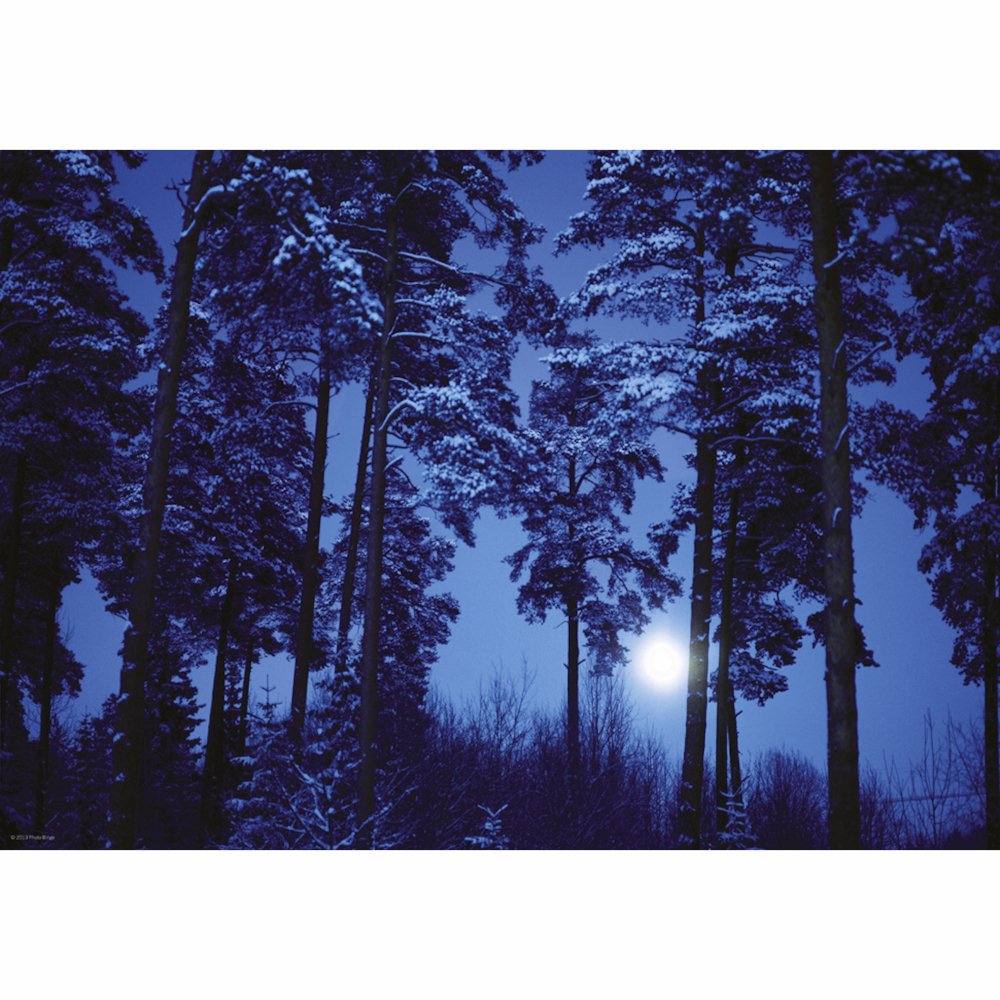 Full Moon Magic Forest - 500 brikker