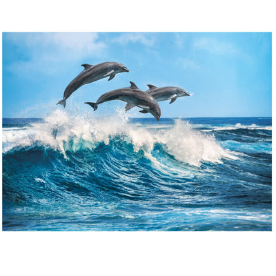 Dolphins - 500 brikker