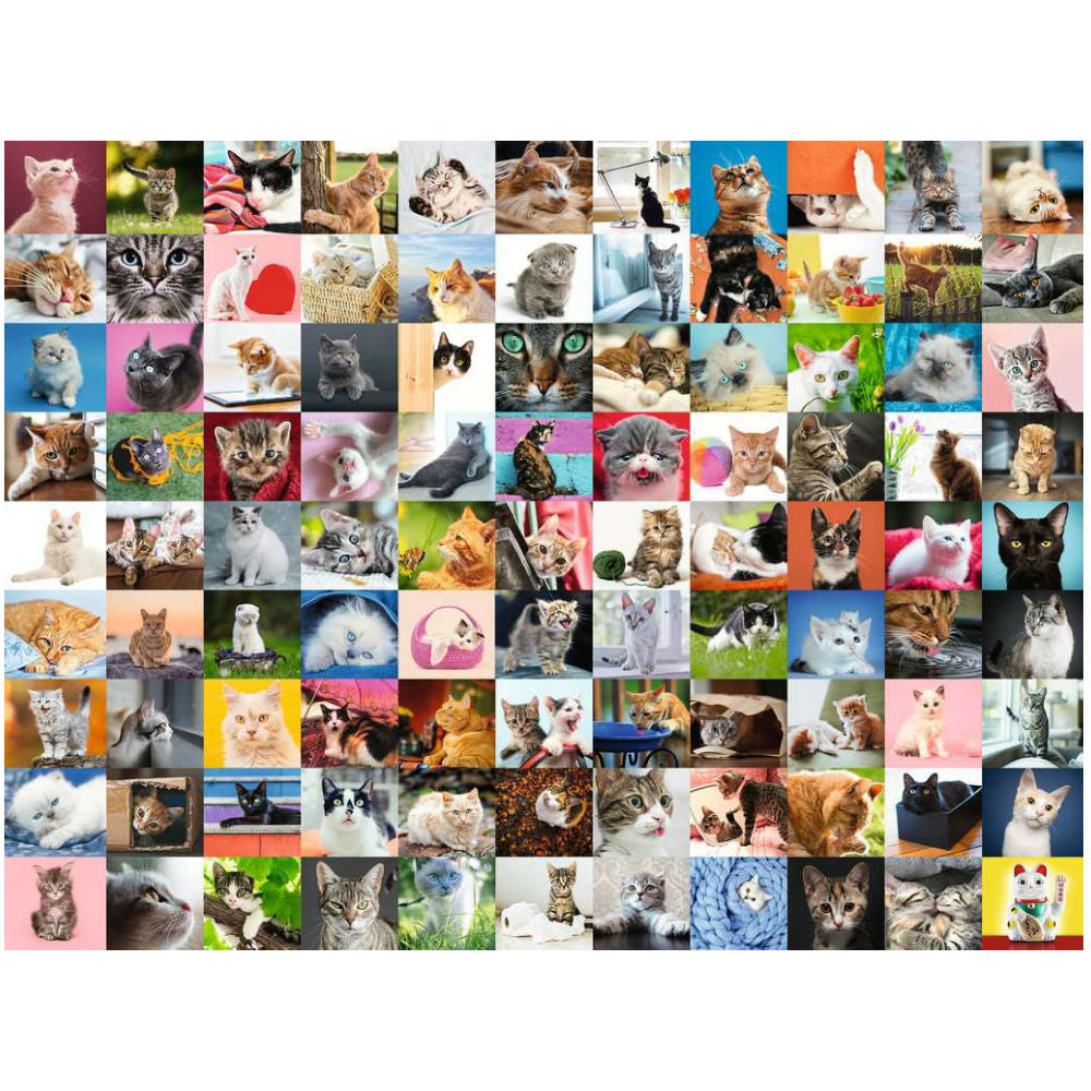 99 Cats - 1500 brikker
