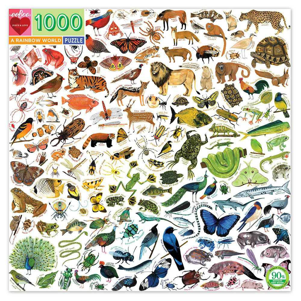 A Rainbow World - 1000 brikker