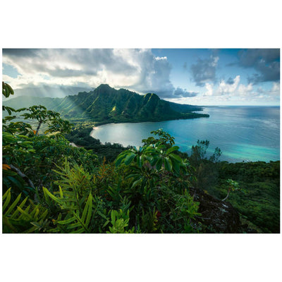 Hawaiian Viewpoint - 5000 brikker