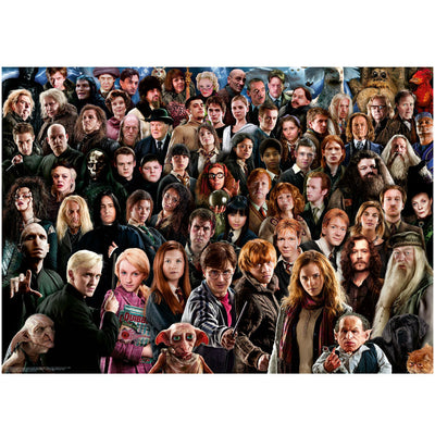 Harry Potter Challenge - 1000 brikker