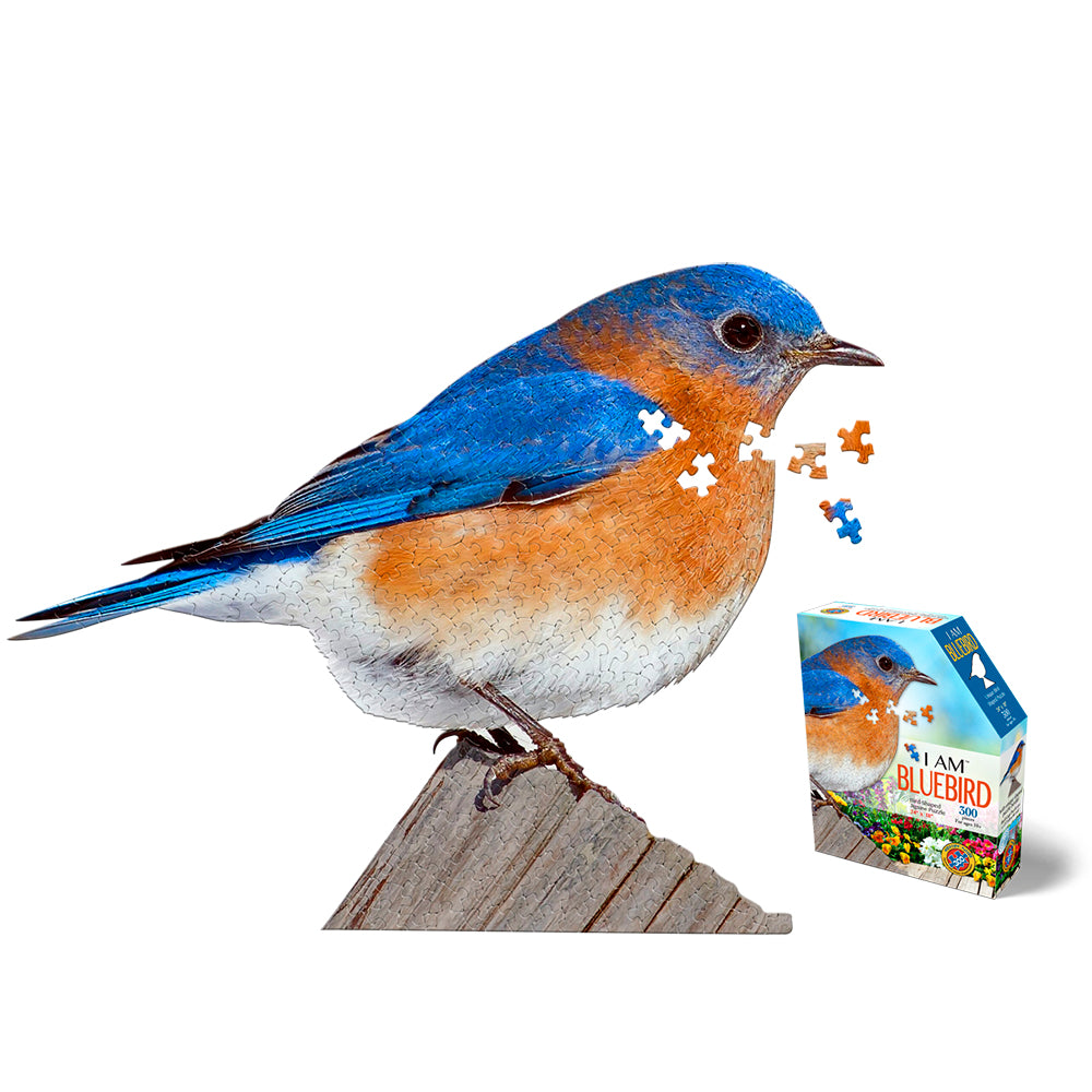 I Am Bluebird - 300 brikker