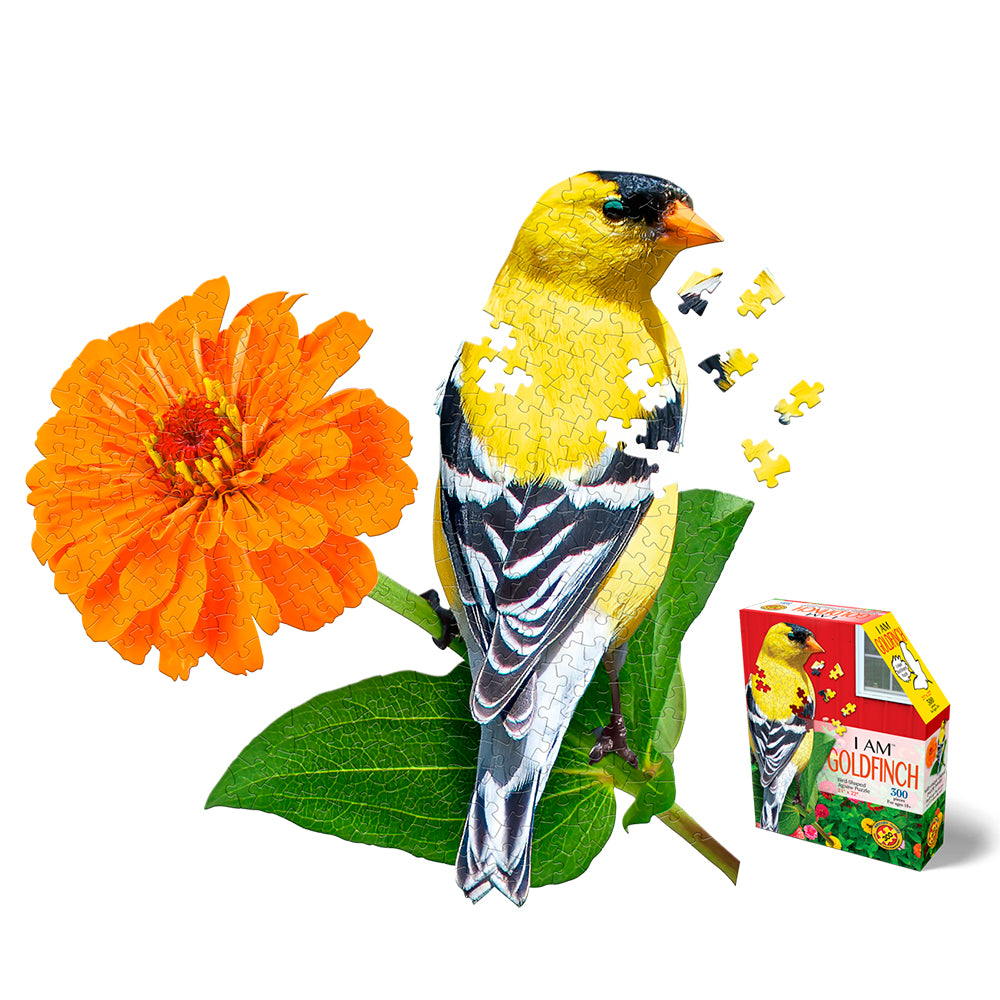 I Am Goldfinch - 300 brikker