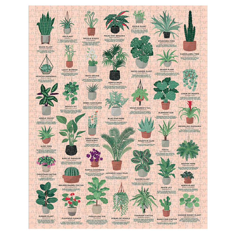 House Plants - 1000 brikker