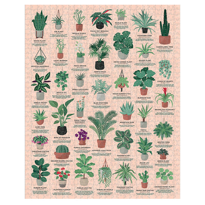 House Plants - 1000 brikker