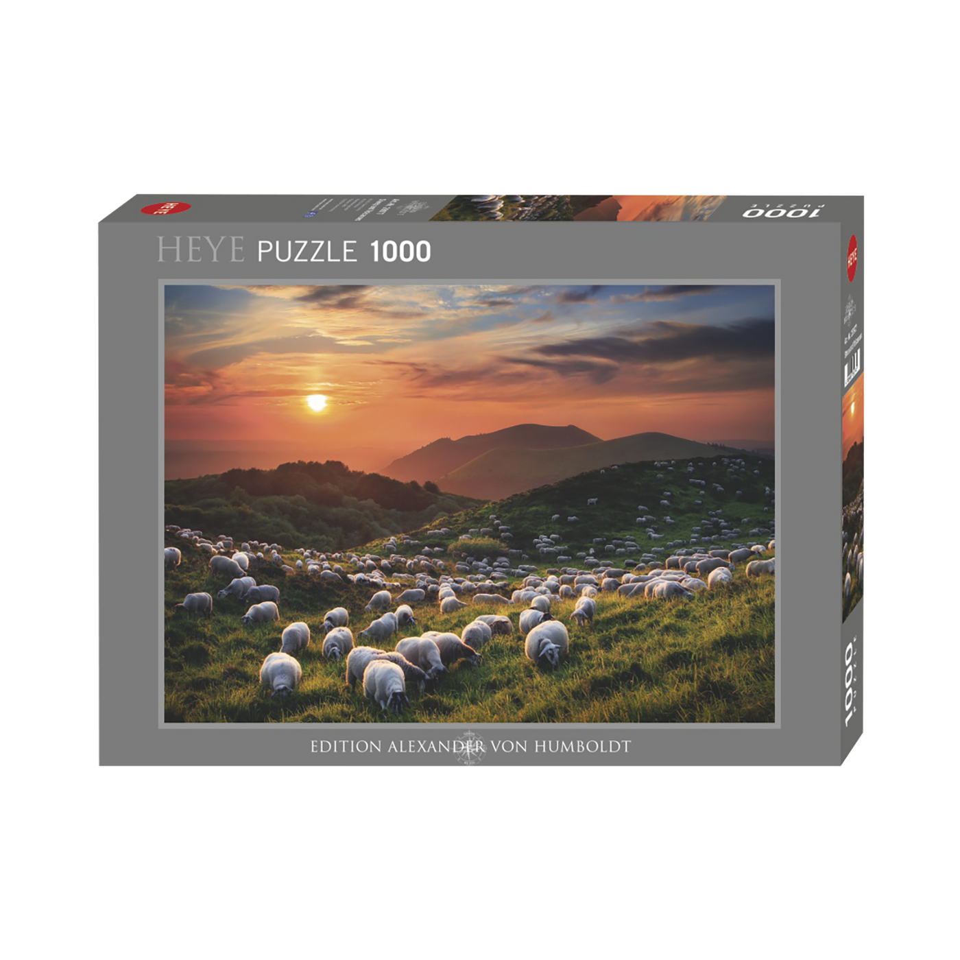 Humboldt: Sheep and Volcano - 1000 brikker