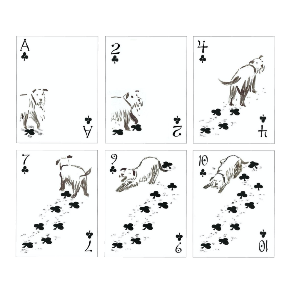 Pack of Dogs