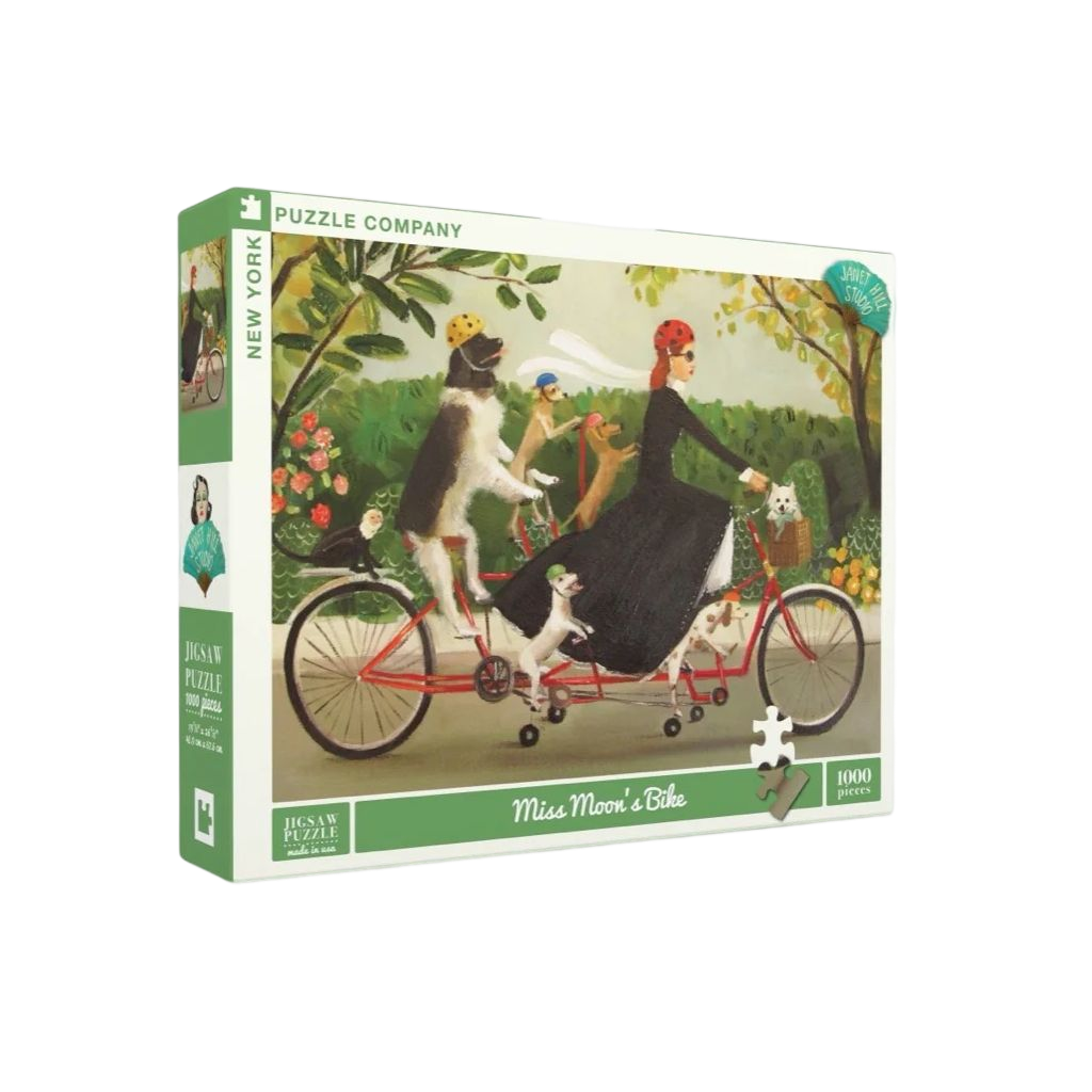 Miss Moon's Bike - 1000 brikker