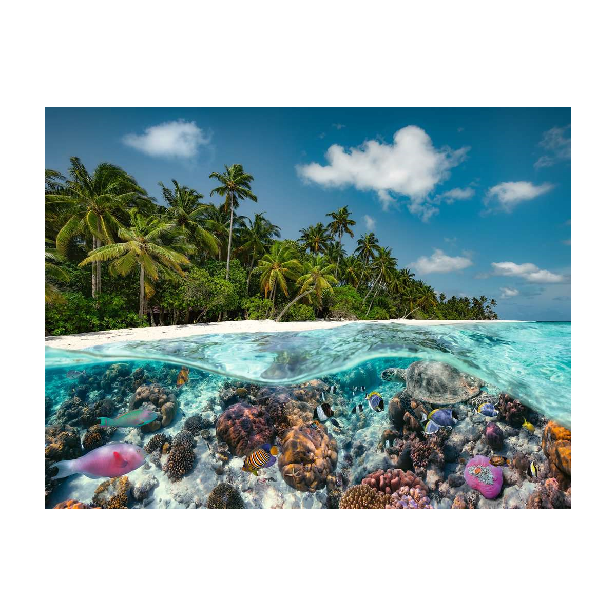A Dive in the Maldives - 2000 brikker