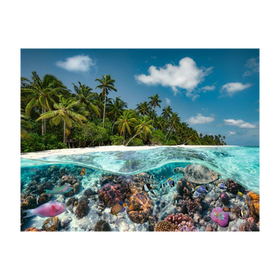 A Dive in the Maldives - 2000 brikker