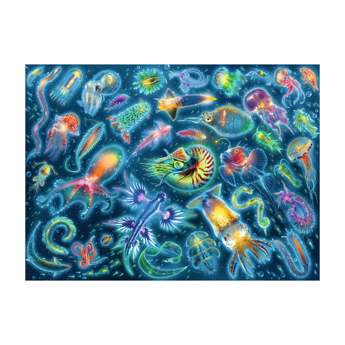 Jellyfish Farbenfrohe - 500 brikker