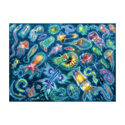 Jellyfish Farbenfrohe - 500 brikker